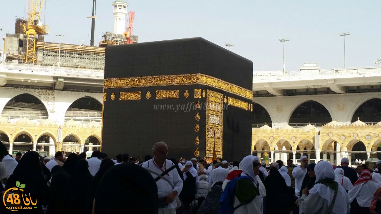 Mo3tmreen yaffa makkeh (2).jpg